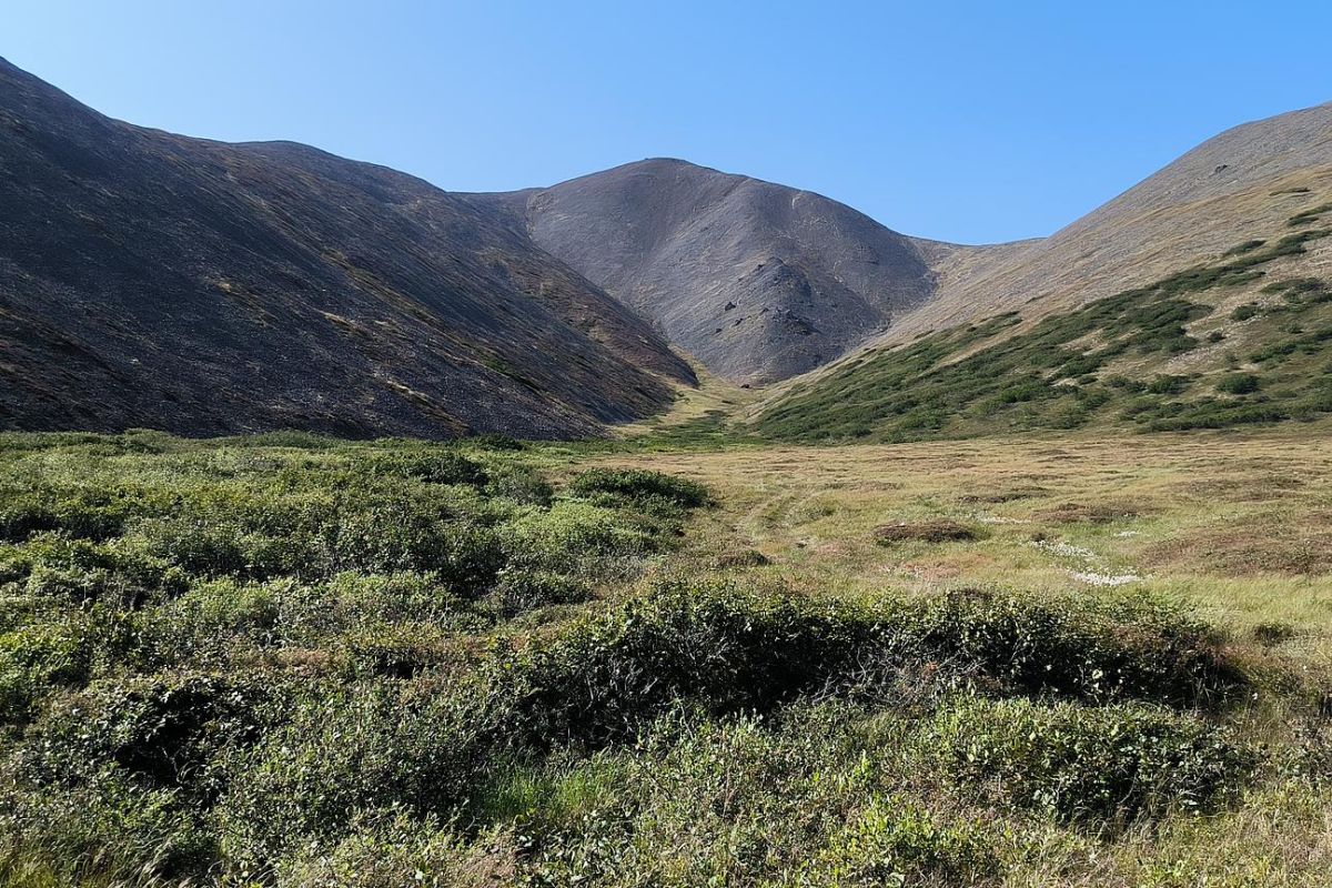 Прогулка по древнему вулкану (г. Анадырь, гора Дионисия), дневной тур