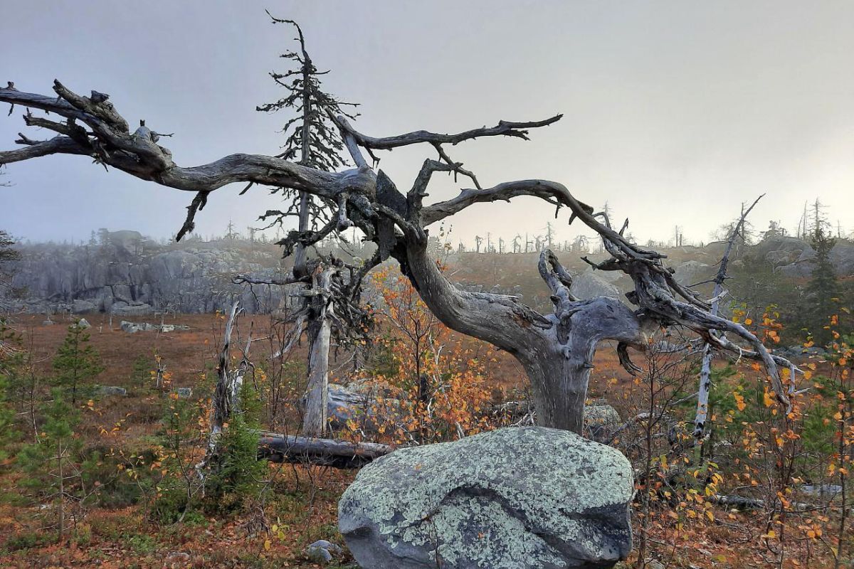 Мистическая гора Воттоваара