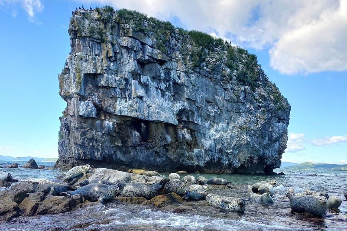 Тур "Морской заповедник"