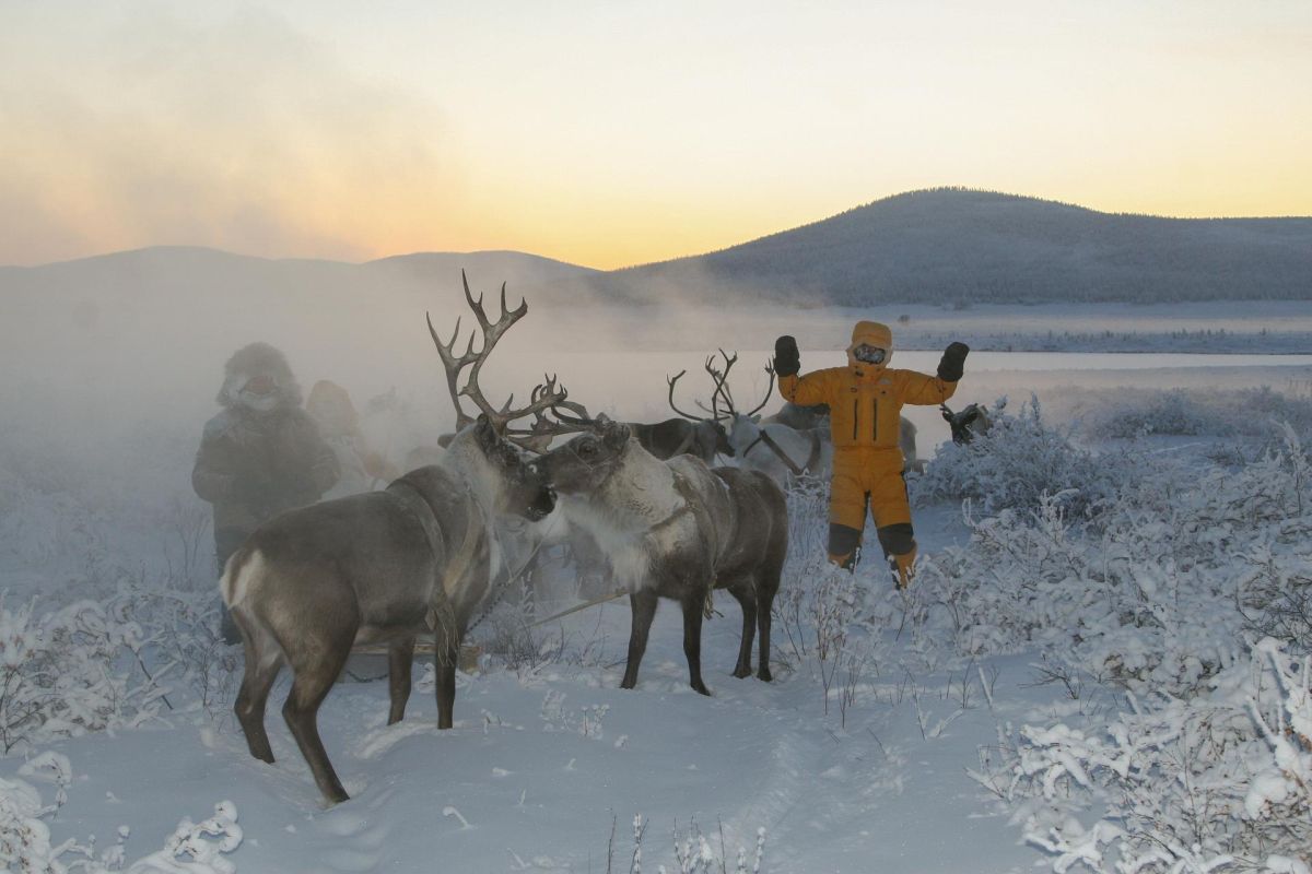 День Оленевода
