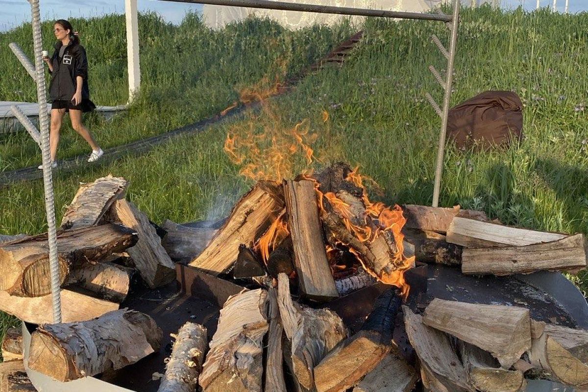 Папоротник и крабы
