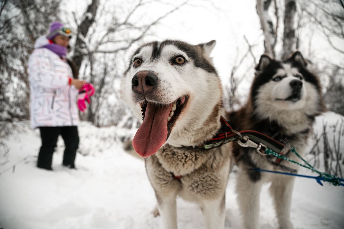 Камчатка. Весенний микс 2026