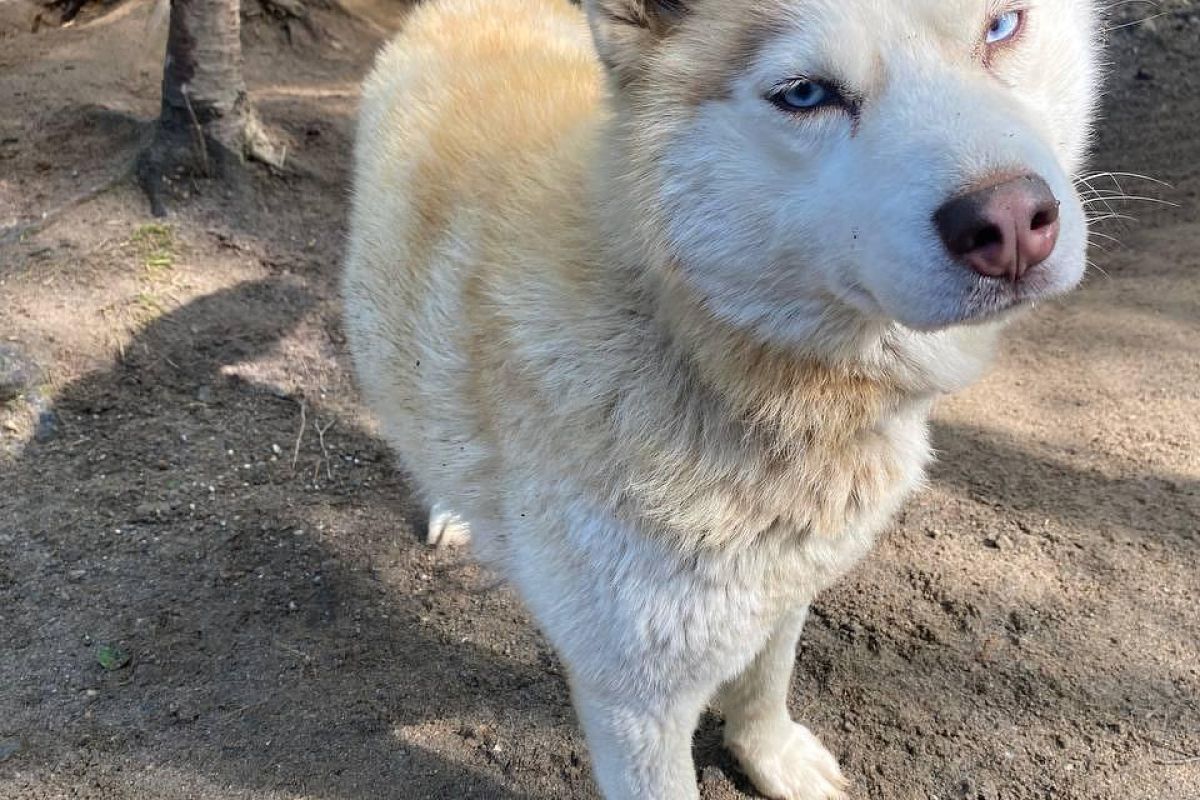 Бриз Баренцева моря: Териберка - морская прогулка