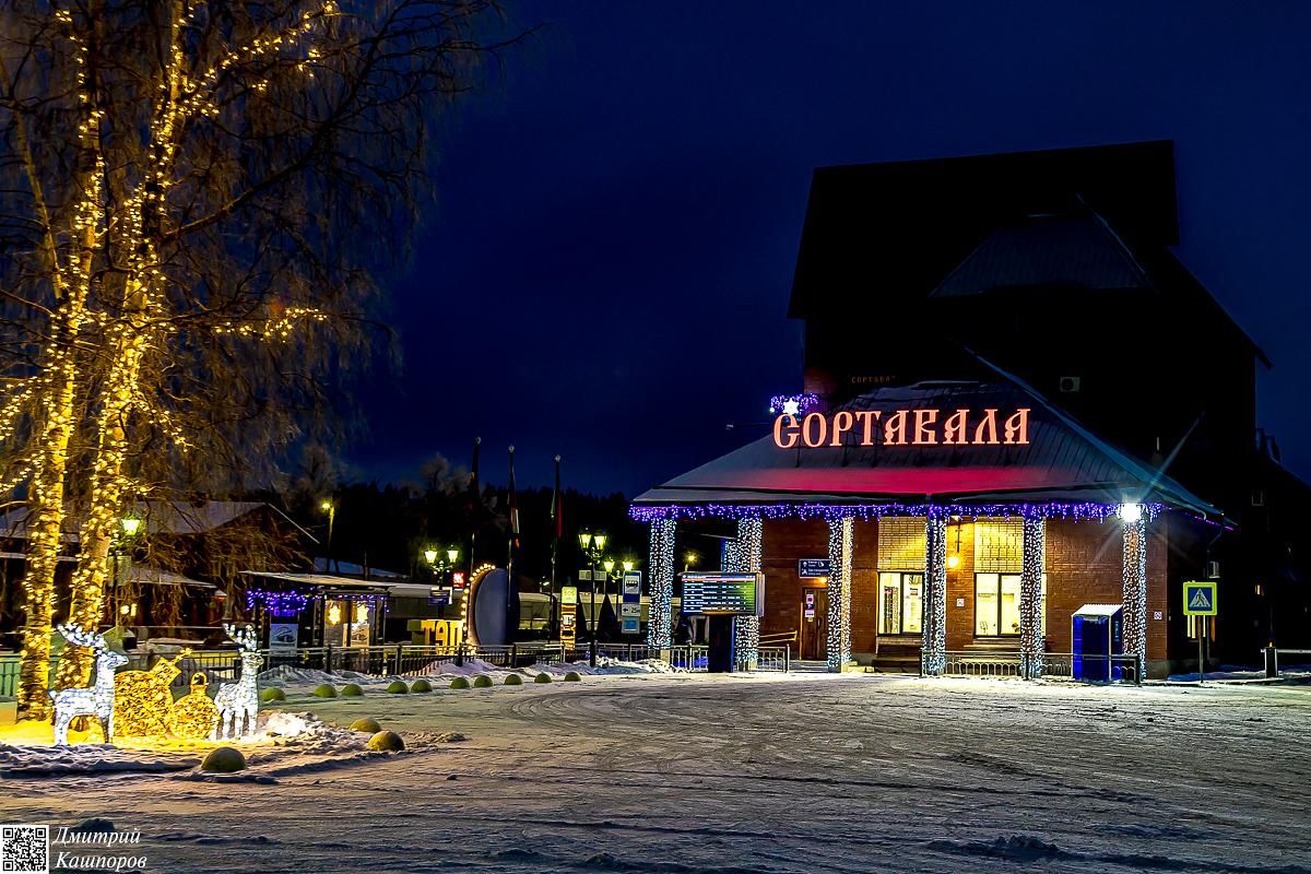 Времена года. Зимняя Карелия с фотографом. Путешествие на другую планету