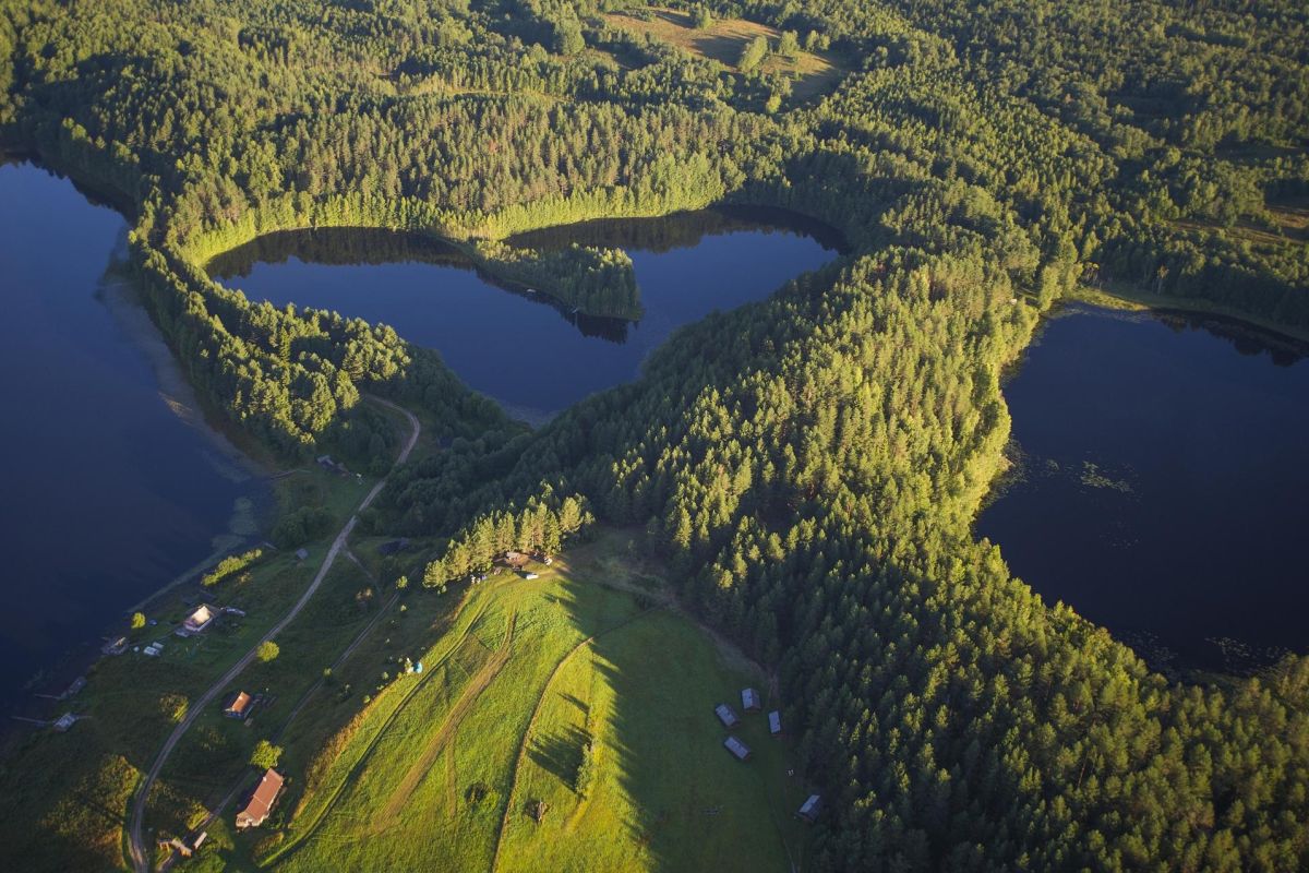 ТУР ДЛЯ ШКОЛЬНИКОВ "ВЫХОДНЫЕ В ЛЕСНОЙ ИЗБУШКЕ"
