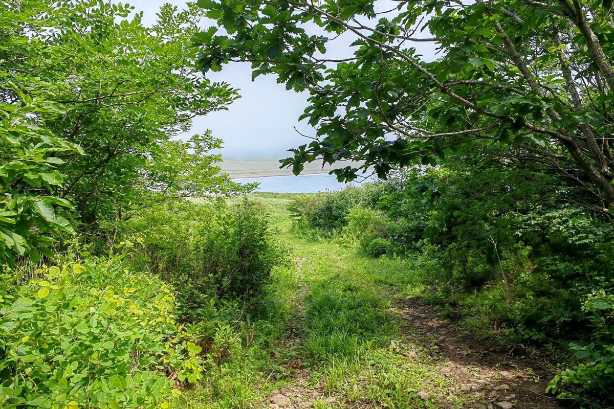 Тур "Открой Владивосток"