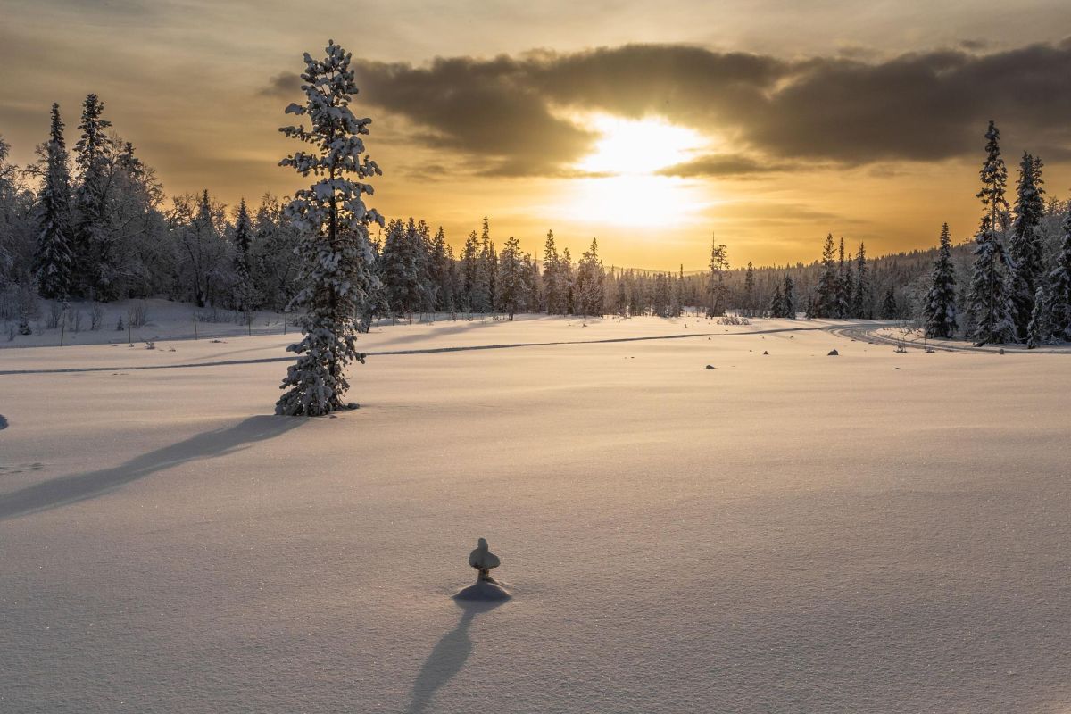 Саамские мотивы (зима)