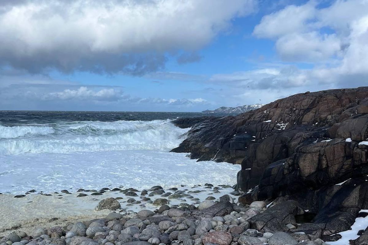 Териберка с морской прогулкой (зима)