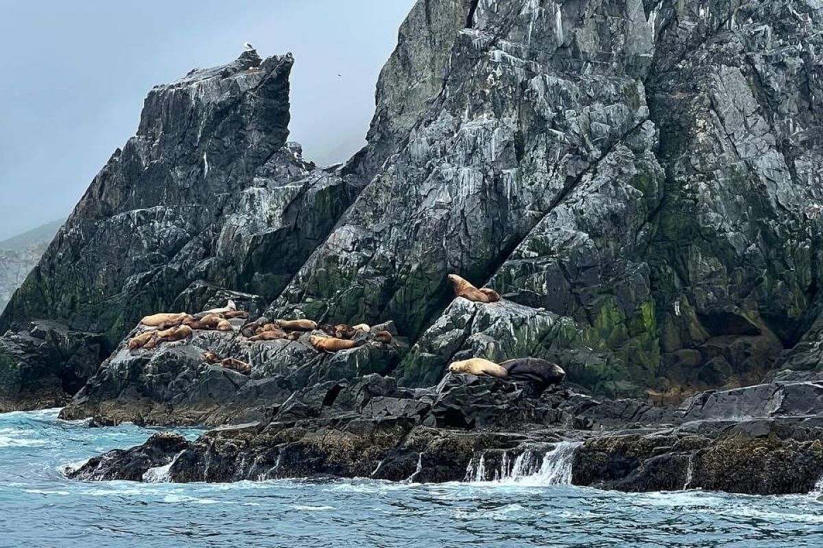 Морская прогулка по бухтам с выходом в океан
