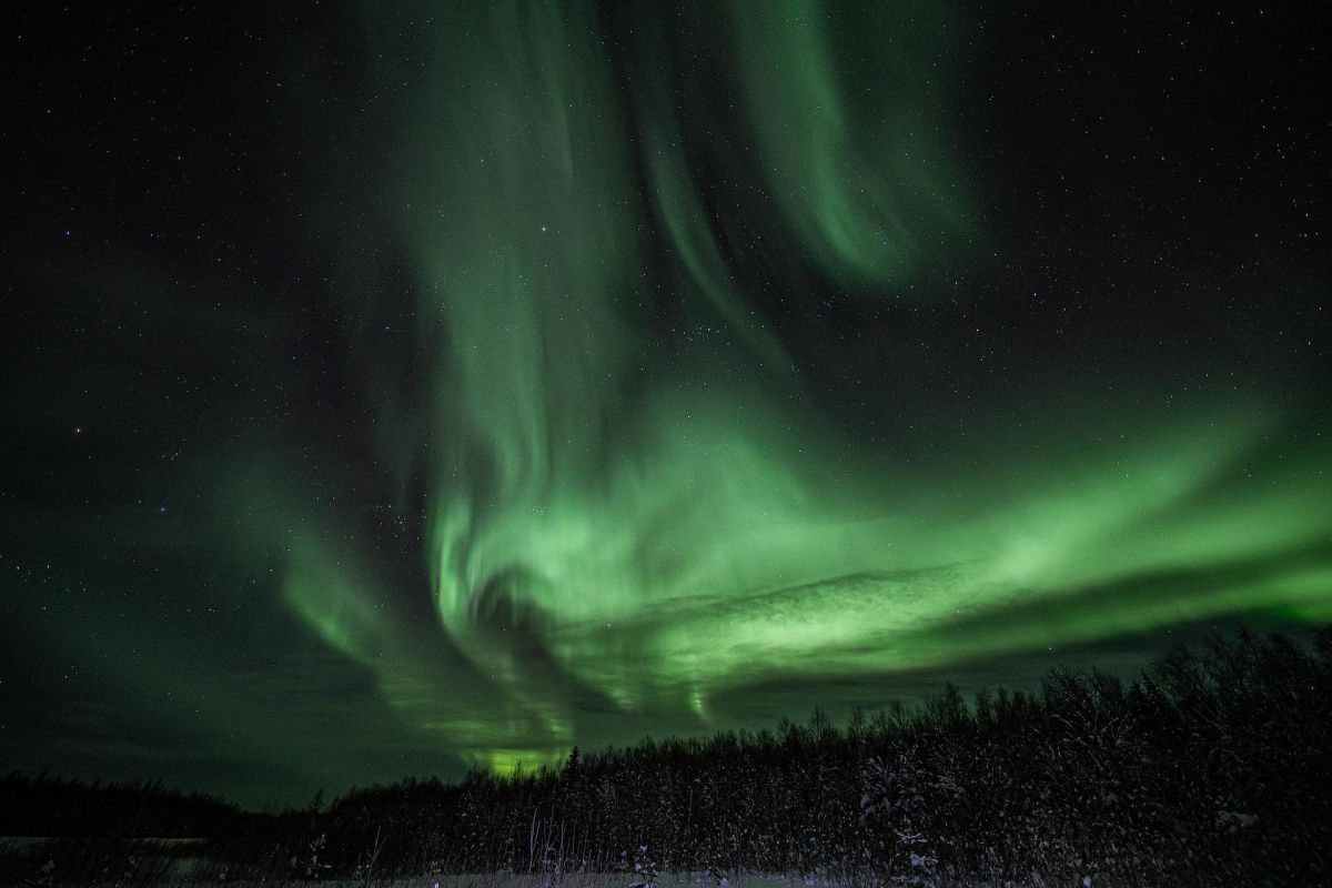 Ешь, лови, кайфуй (зима)