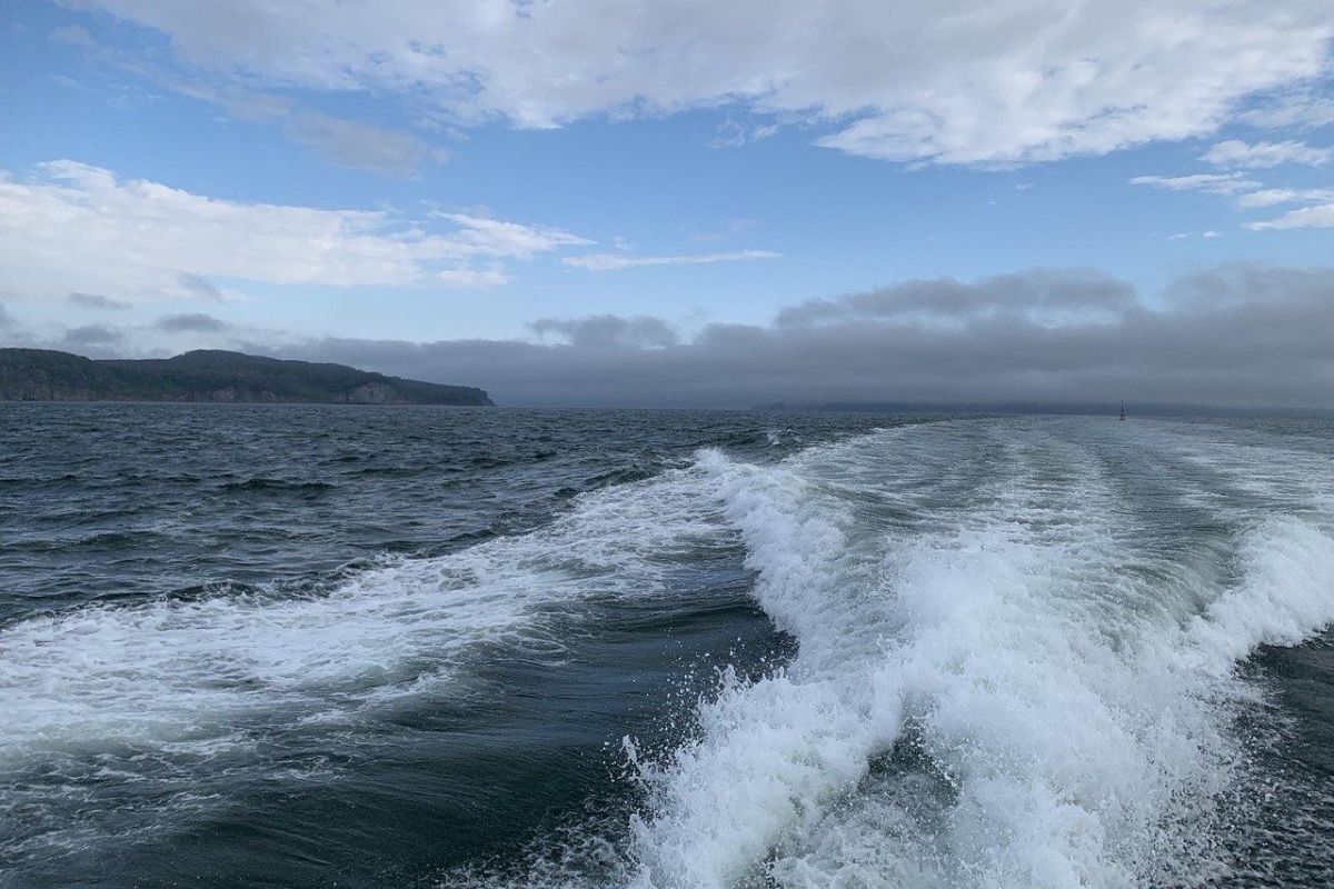 Морская прогулка по бухтам с выходом в океан