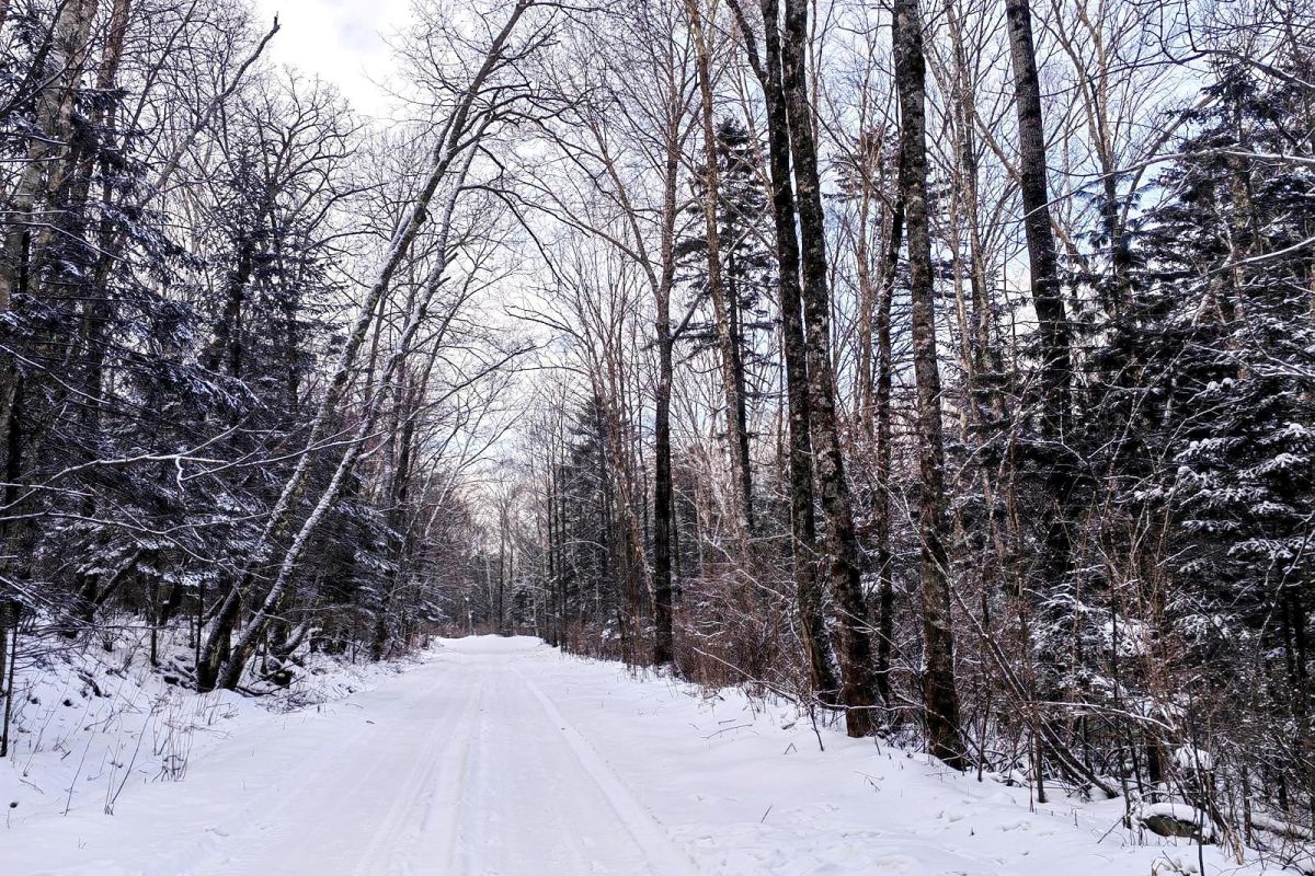 Водопад Горбатый