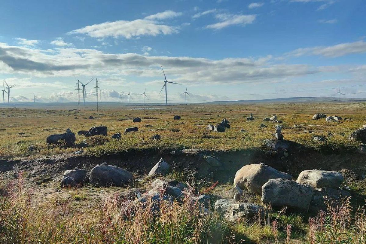 По волнам Арктики (морская прогулка)