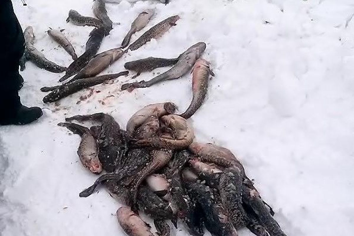 Озеро Майниц - жемчужина Чукотки (март-апрель, подлёдная рыбалка)