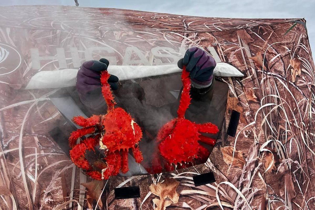 Подлёдный лов краба (крабалка)