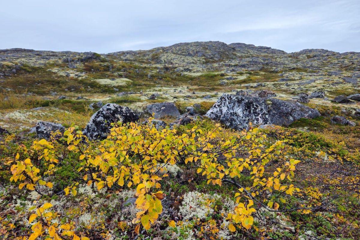 Экспедиция на полуострова Рыбачий и Средний 6 дней/ 5 ночи