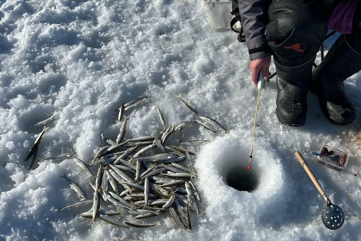 Подлёдная рыбалка