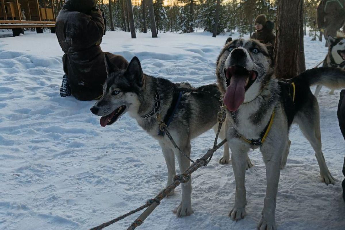 Ешь, лови, кайфуй (зима)