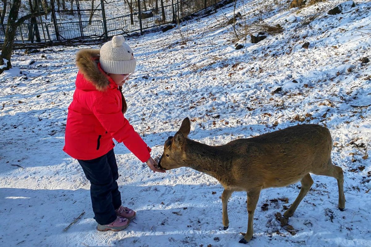 Тур "Владивосток – город у океана"