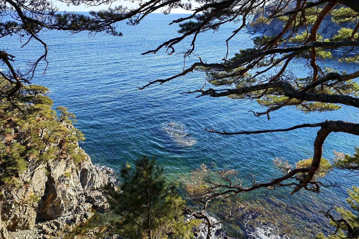 Тур "Четыре истории"