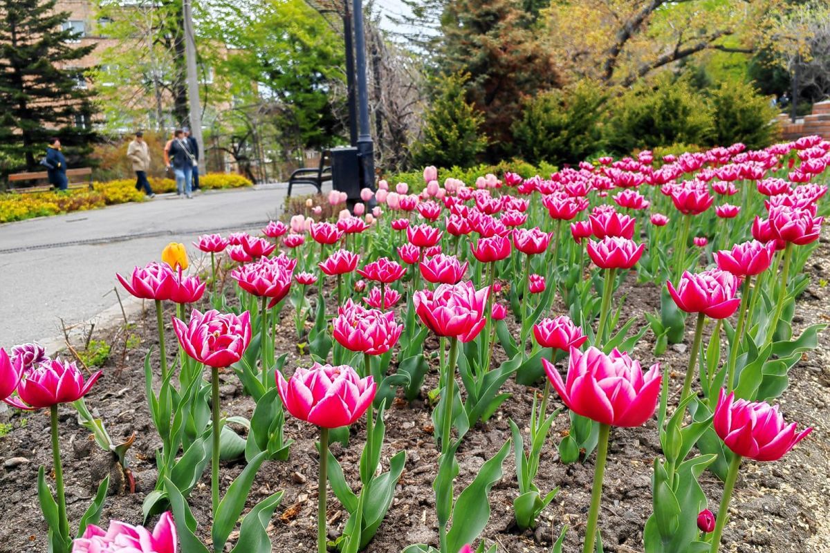 Дыхание весны у моря (1 - 6 мая 2026)