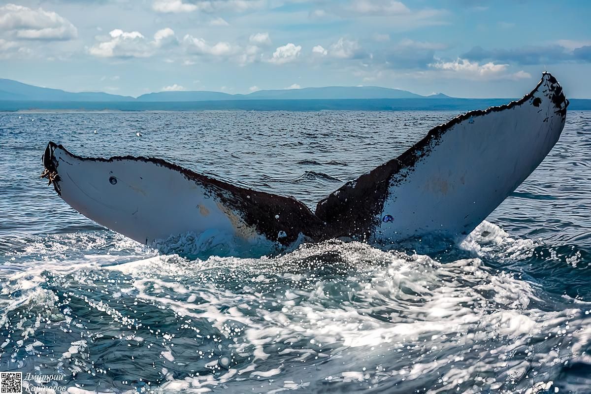 Кунашир и Шикотан. Путешествие на другую планету