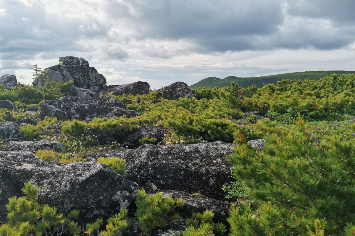 Горные купола Тукурингры
