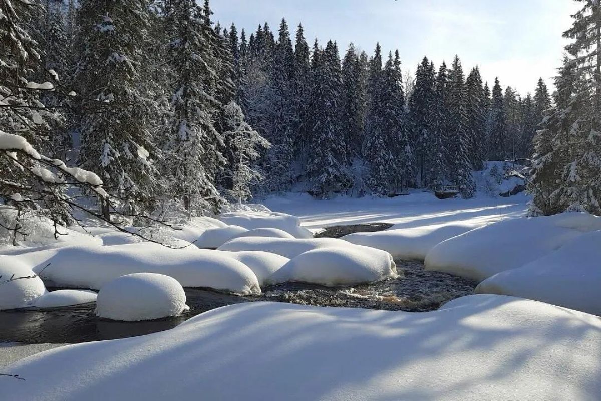 Лыжный тур "4 дня в Спасской Губе"