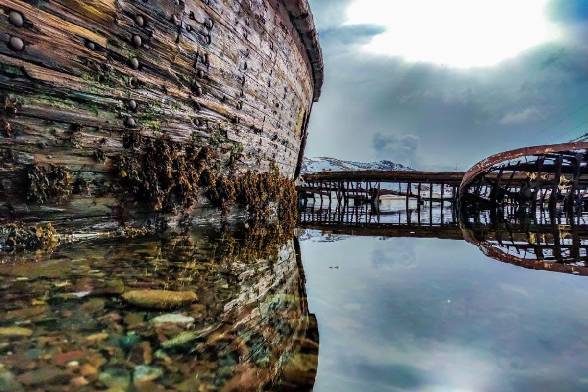 По волнам Арктики (пешая прогулка)