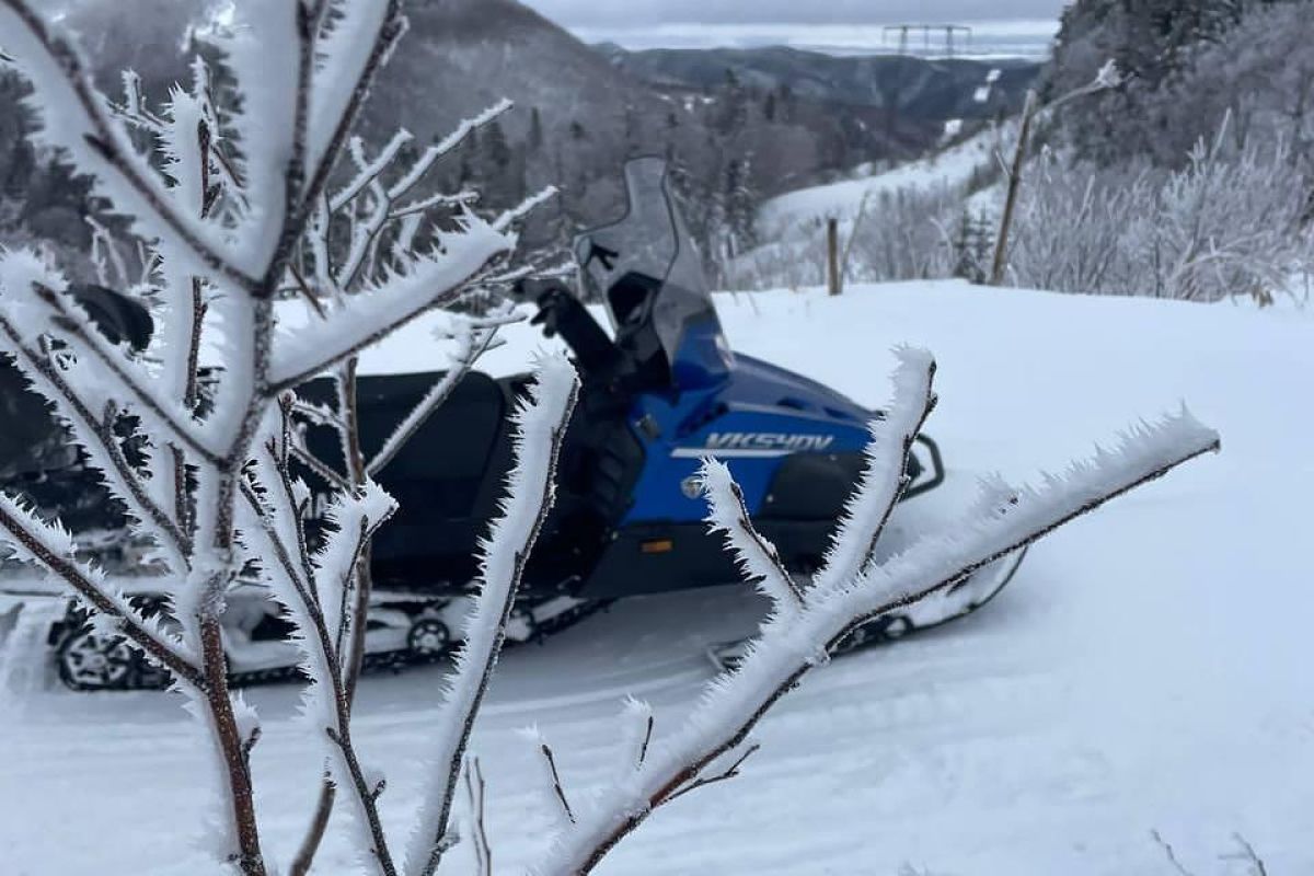 Сафари на снегоходах. Зимний Сахалин.