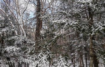 Водопад Горбатый