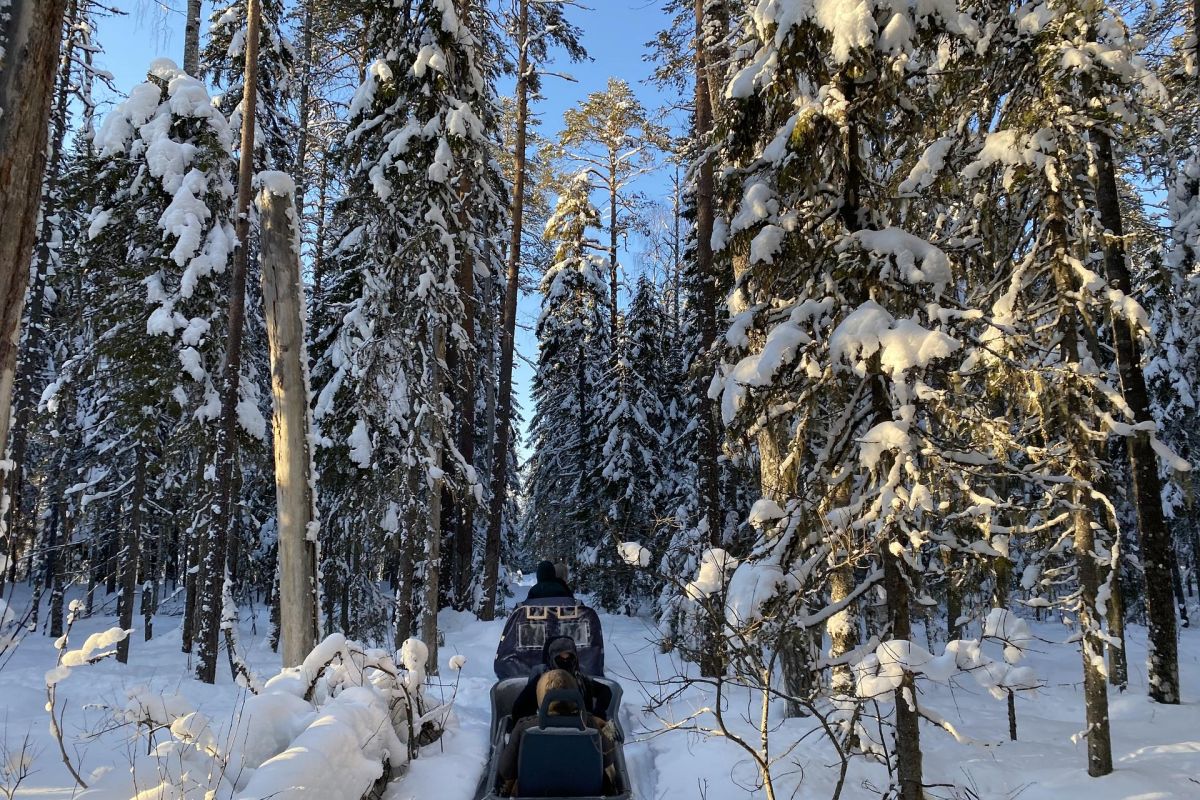СНЕГОХОДНЫЙ ТУР "ЗАПОВЕДНОЕ КЕНОЗЕРЬЕ"