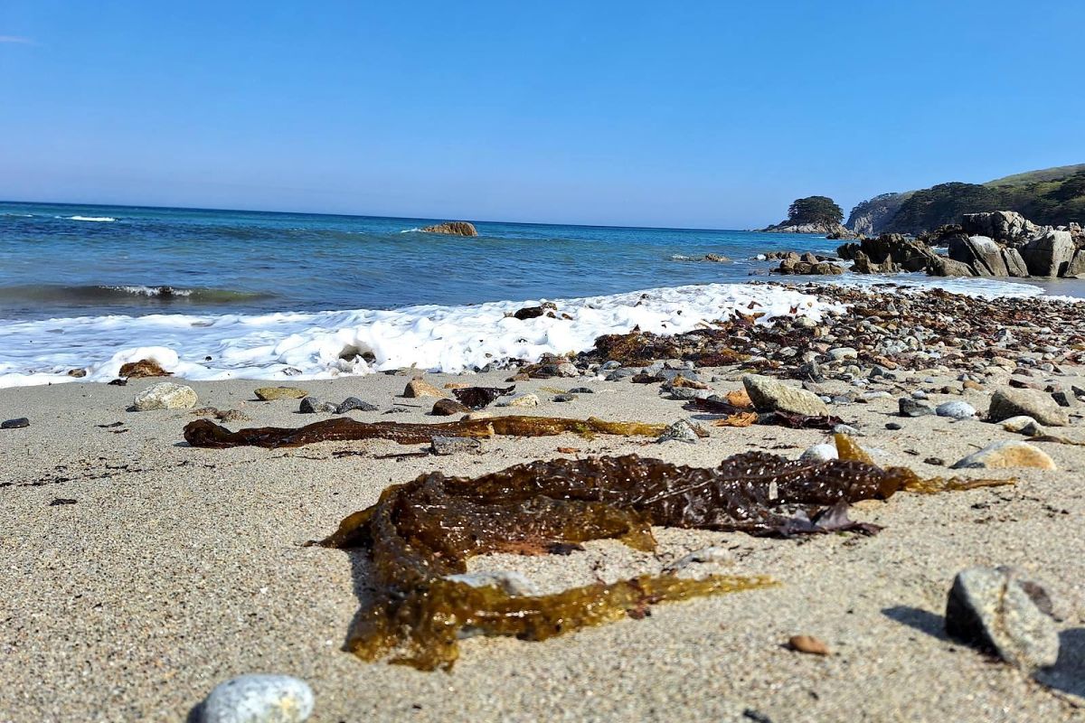 Тур "Четыре истории"