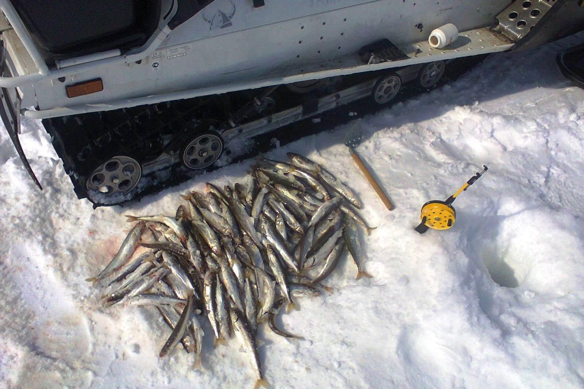 Озеро Майниц - жемчужина Чукотки (март-апрель, подлёдная рыбалка)