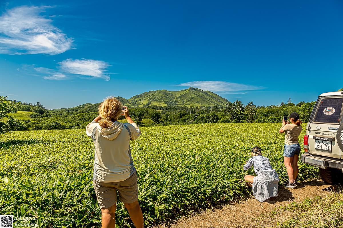 Кунашир и Шикотан. Путешествие на другую планету