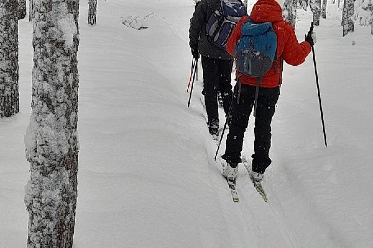Лыжный тур "3 дня в Приладожье"