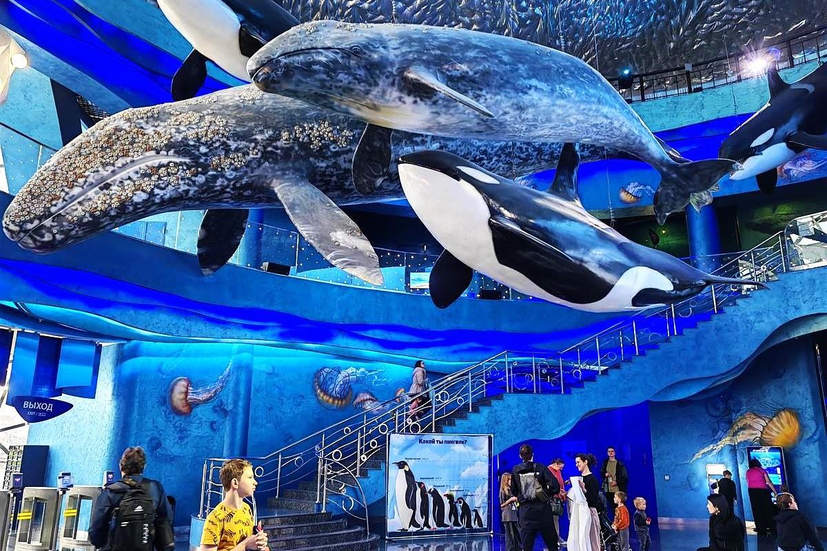 Тур "Тигры.Устрицы.Мосты"