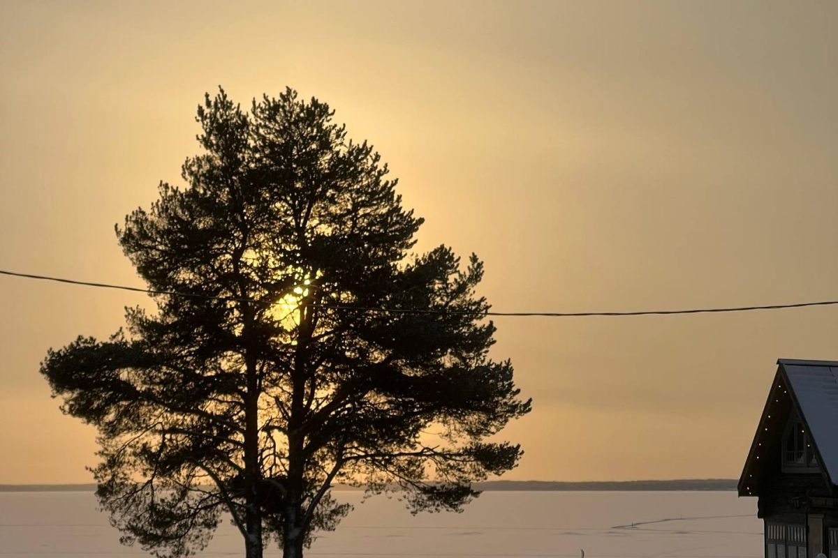 «ЗИМНИЙ УЗОР ЛЕКШМОЗЕРЬЯ»: тур выходного дня в Каргопольском секторе