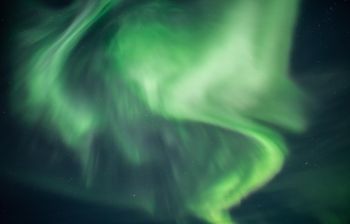 Ешь, лови, кайфуй (зима)