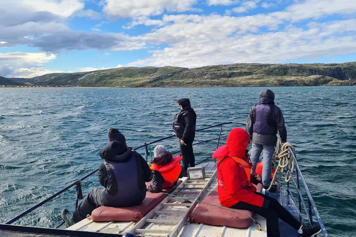 По волнам Арктики (морская прогулка)