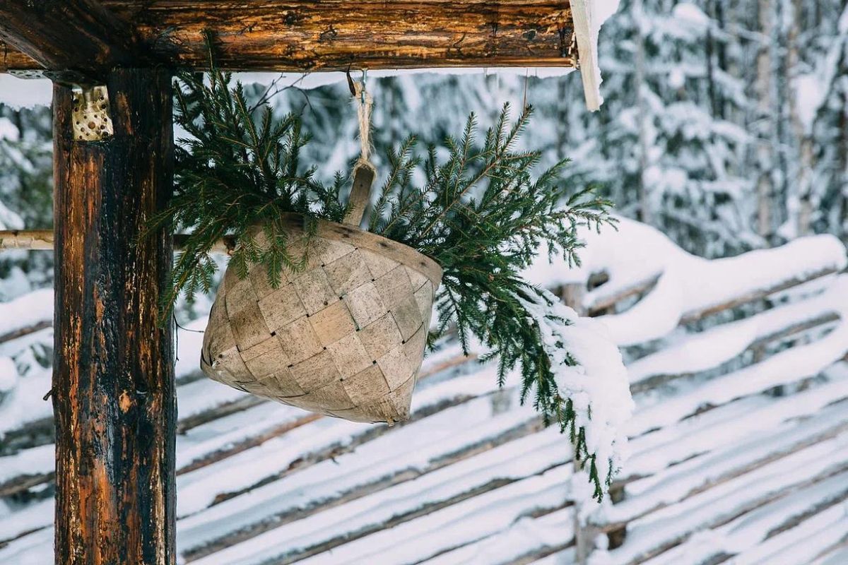Хаски и олени: экскурсия в карельский питомник