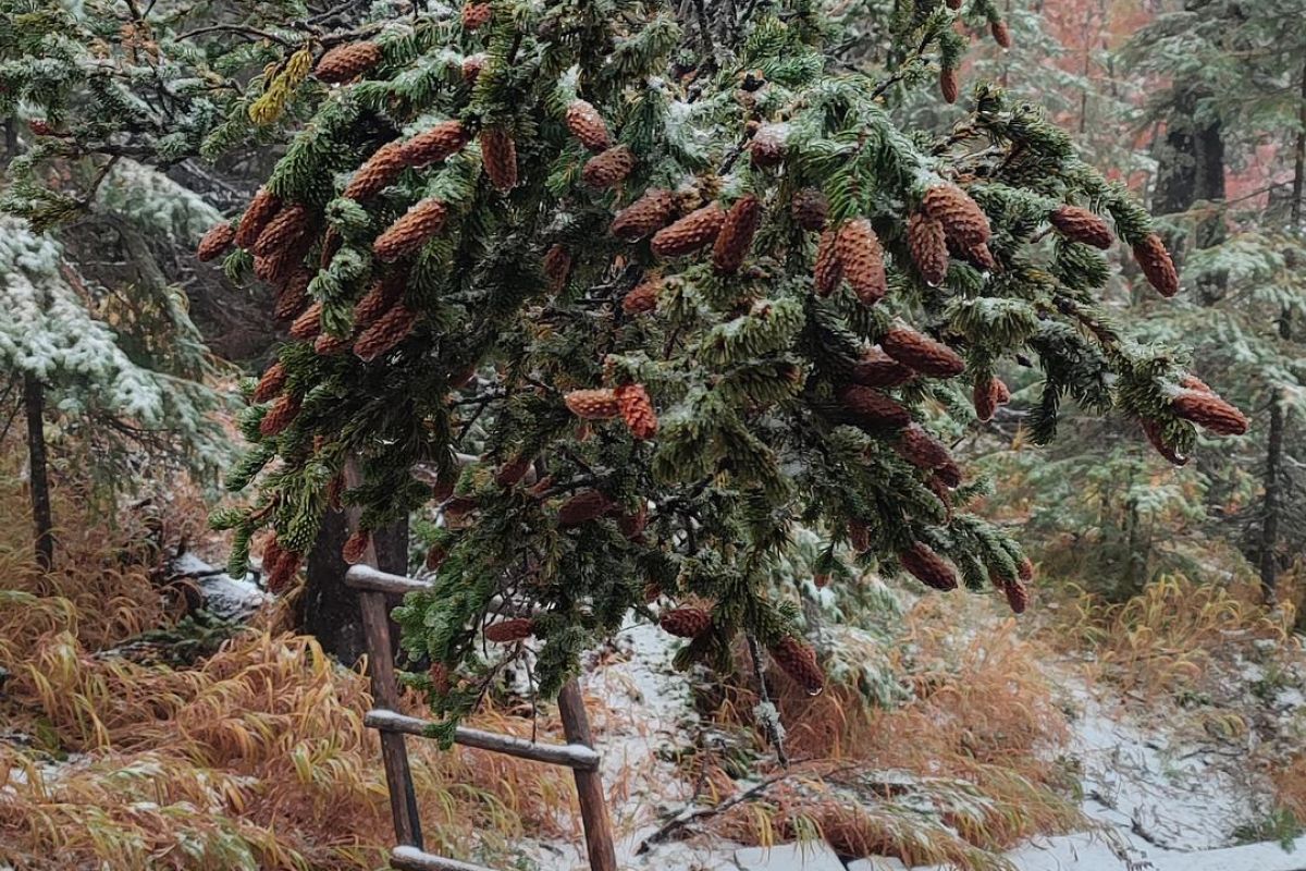 Горные купола Тукурингры