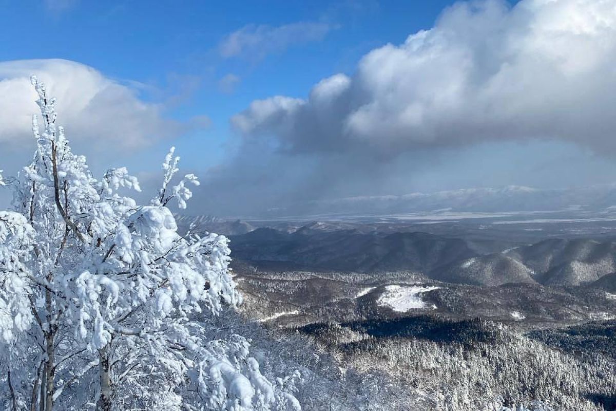 Сафари на снегоходах. Зимний Сахалин.