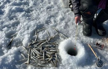 Подлёдная рыбалка