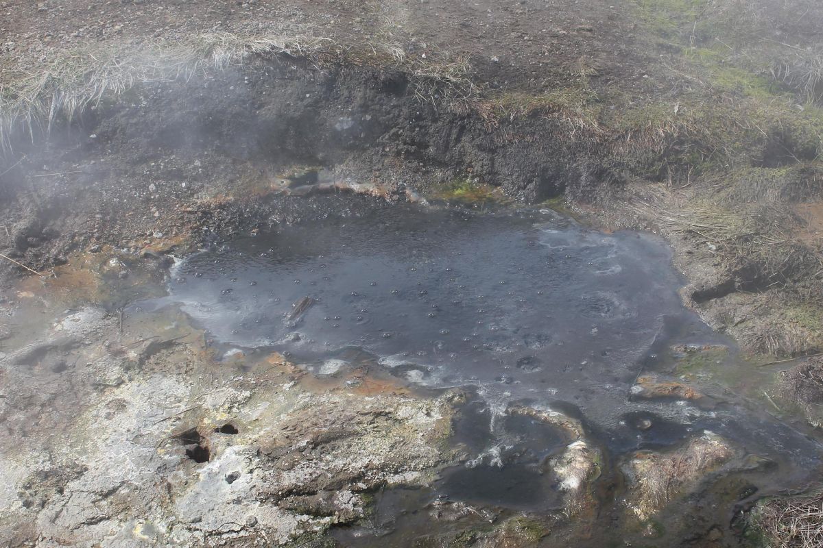 Экскурсия на вездеходе на Вилючинский перевал и Дачные источники