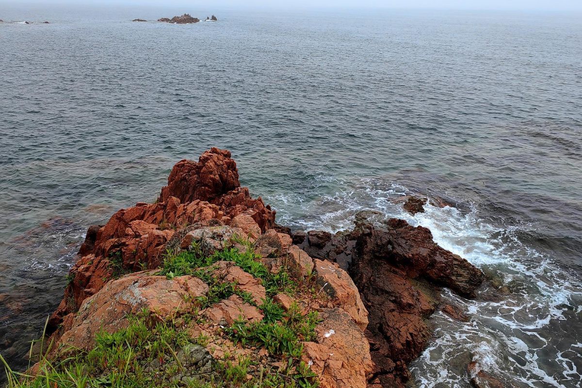 Тур "Открой Владивосток"