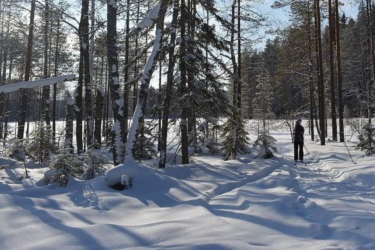 Лыжный тур "4 дня в Спасской Губе"
