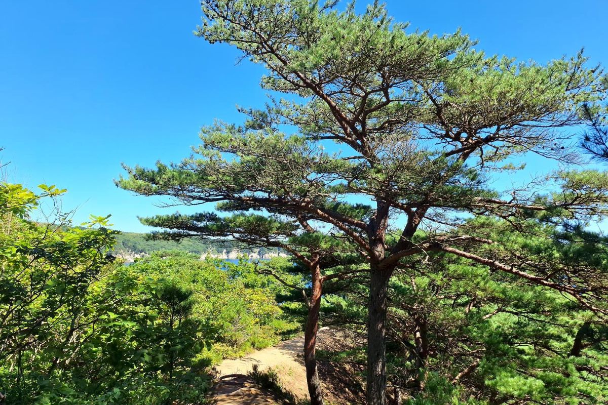 Тур "Четыре истории"