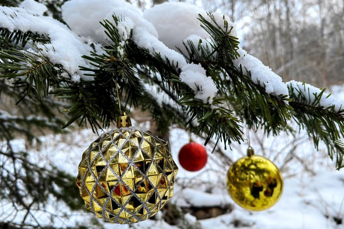 Водопад Горбатый