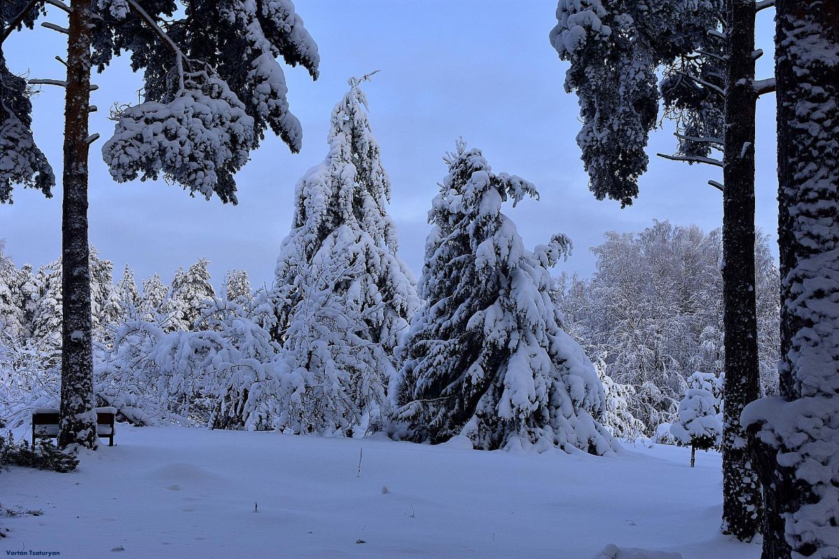 Лыжный тур "4 дня в Спасской Губе"